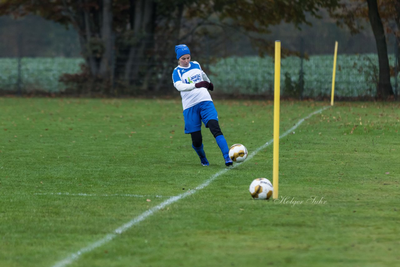 Bild 261 - Frauen SV Henstedt Ulzburg III - Bramstedter TS : Ergebnis: 1:0